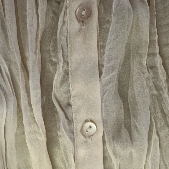 Vintage Ruffle Blouse - Picture 6 of 7